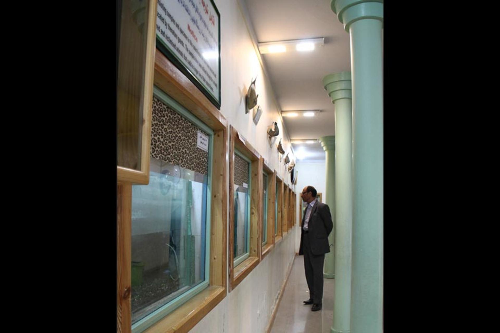موزه تاریخ طبیعی اردبیل