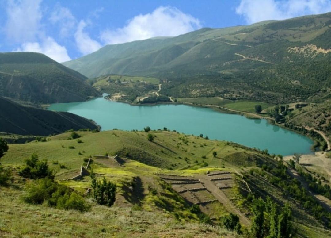 پوشش گیاهی و جانوری دریاچه ولشت