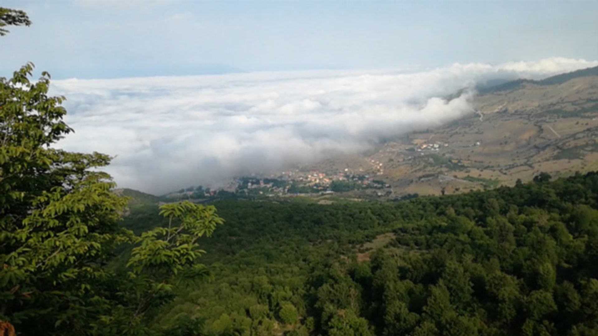 جنگل کجور پوشیده از مه از نمای بالا