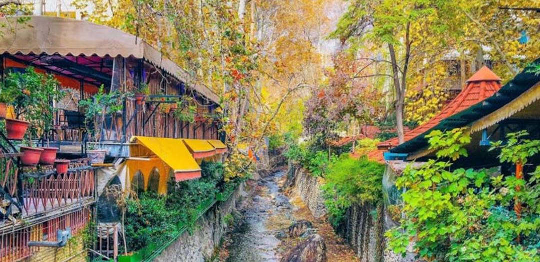 کافه های درکه در میان درختان در پاییز