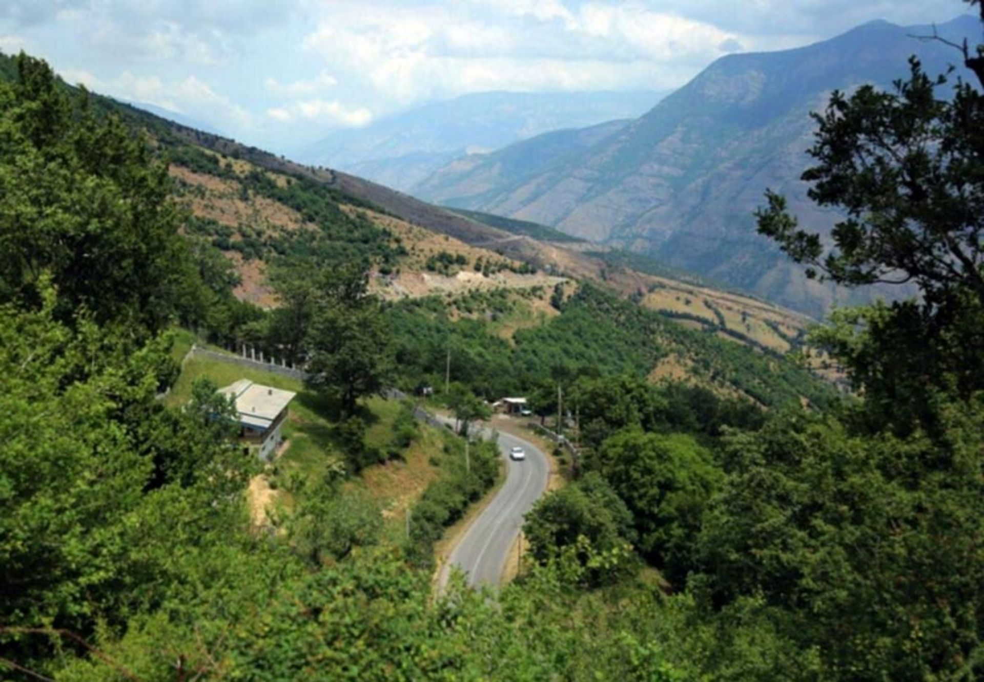 جنگل چهار باغ چالوس از بالای کوهستان