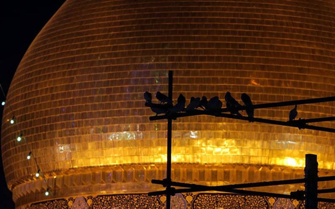 گنبد حرم حضرت معصومه در شب