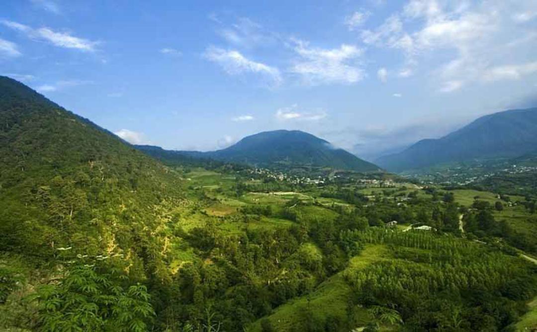 پوشش سرسبز جنگل کجور در ارتفاعات نوشهر