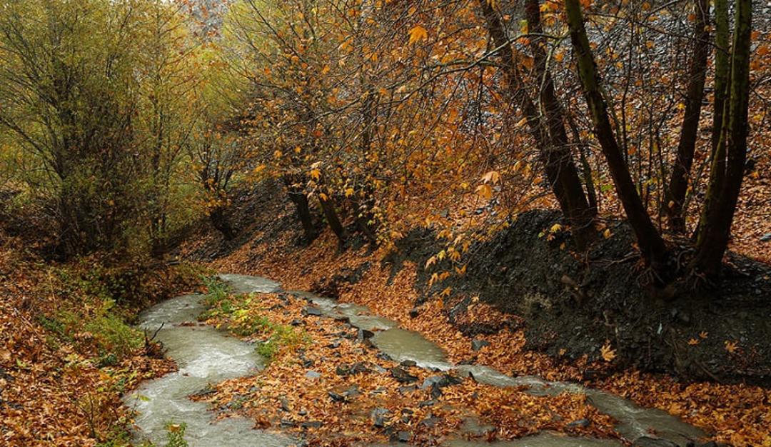 پاییز روستای جاغرق در طرقبه