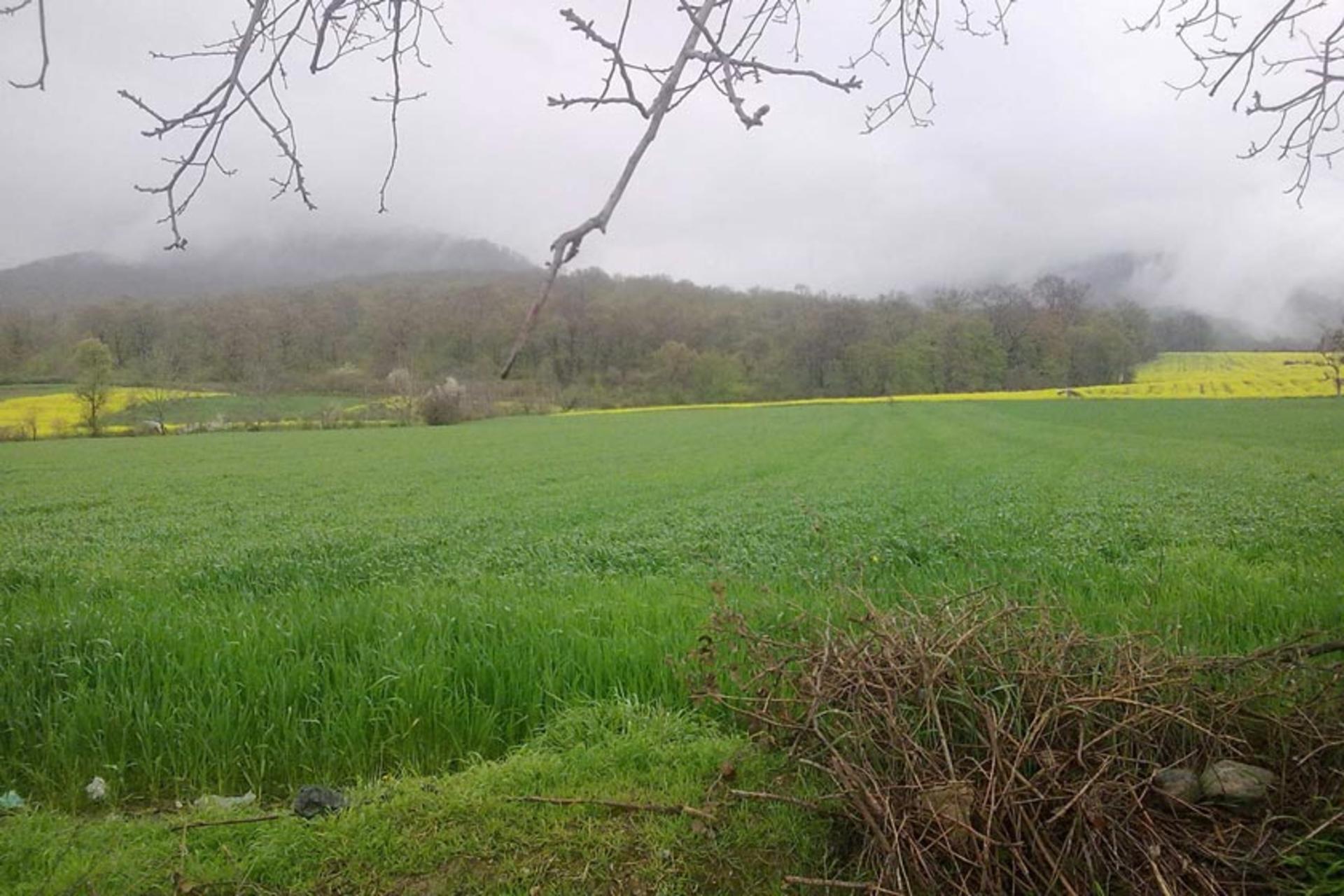 روستای میاندره