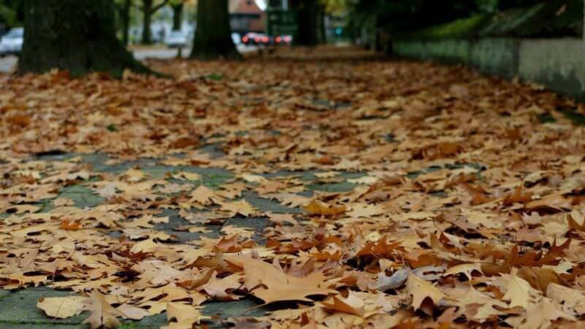 بهترین زمان سفر به اروپا