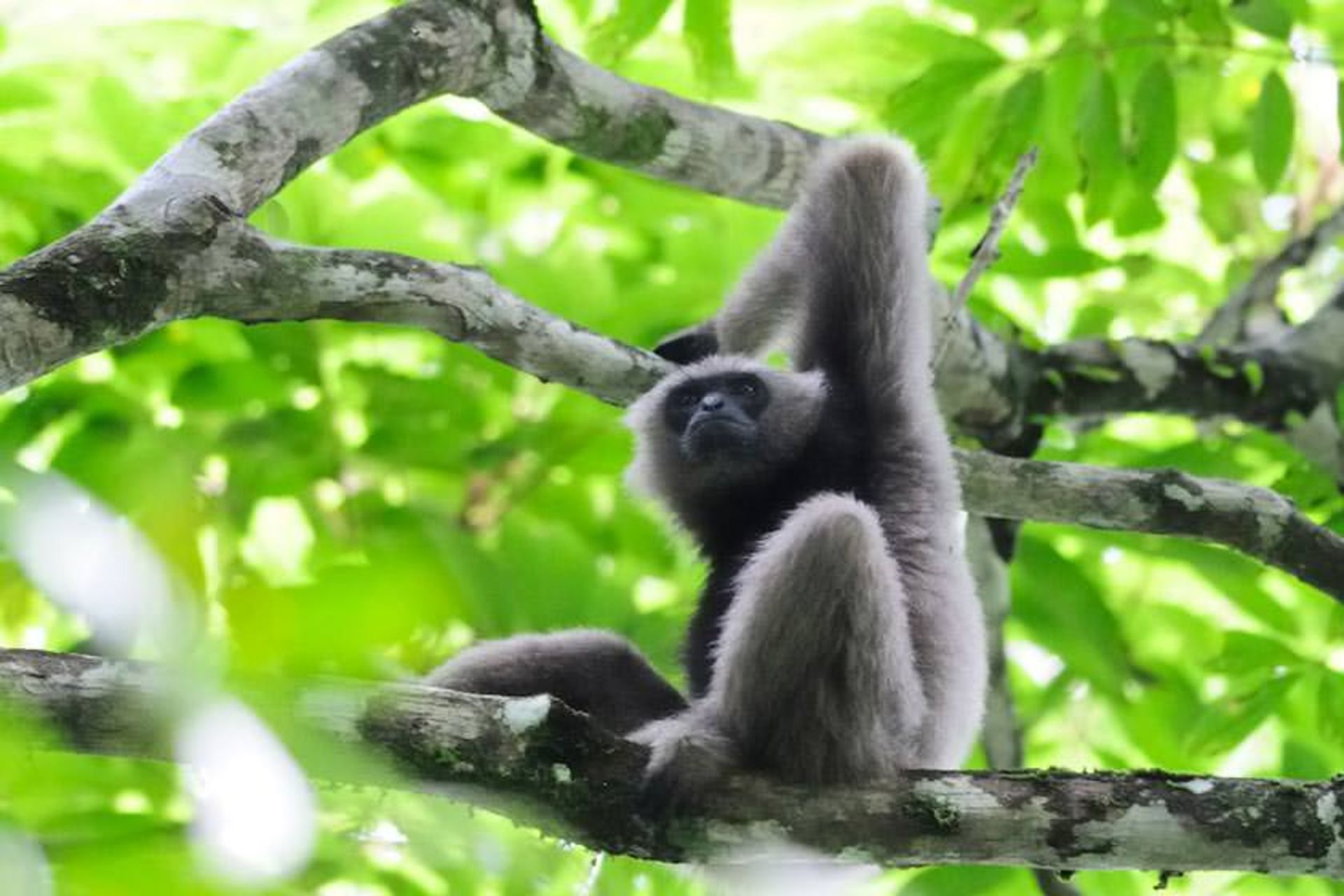 منطقه حفاظت شده دره دانوم