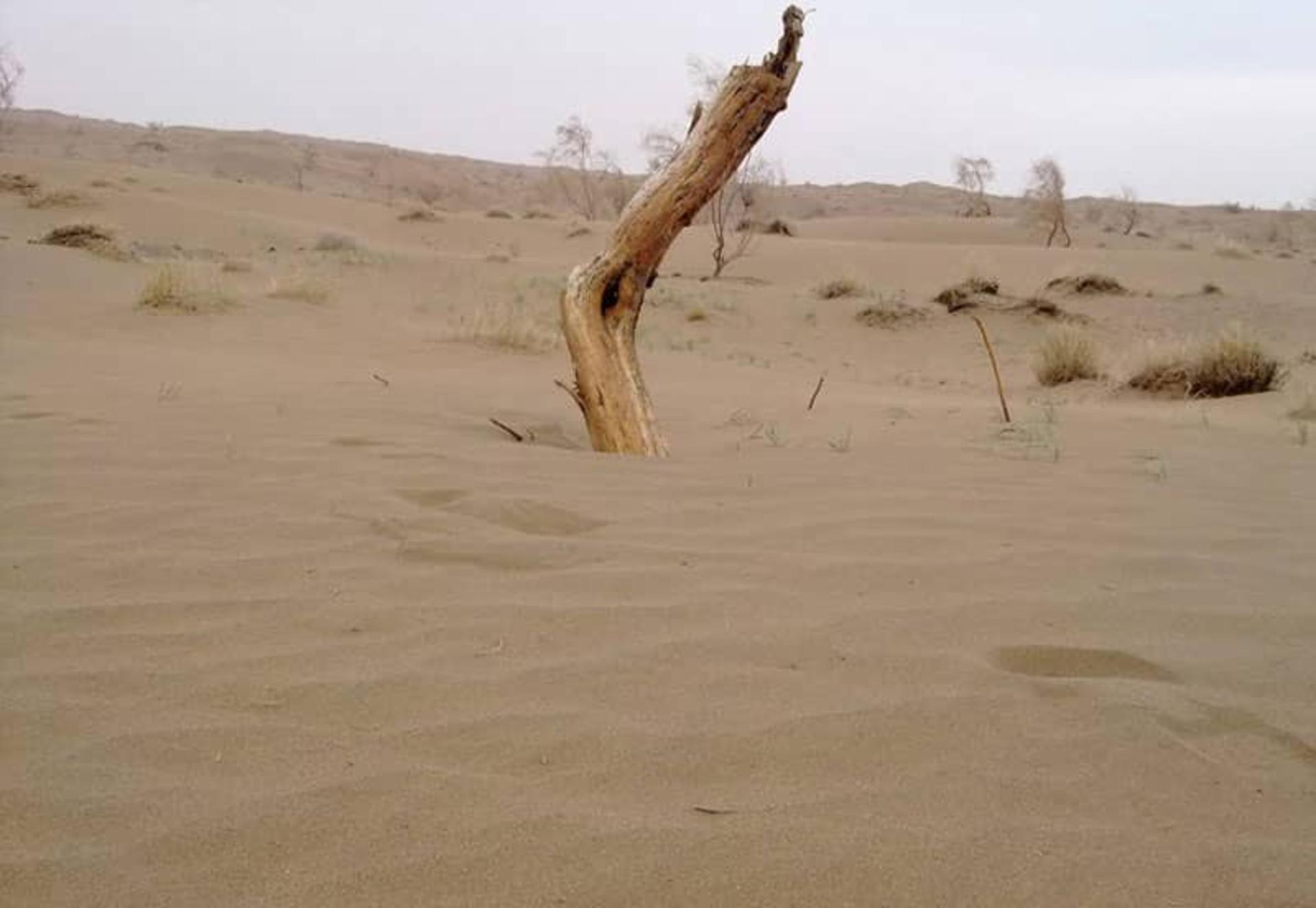 کویر حلوان طبس