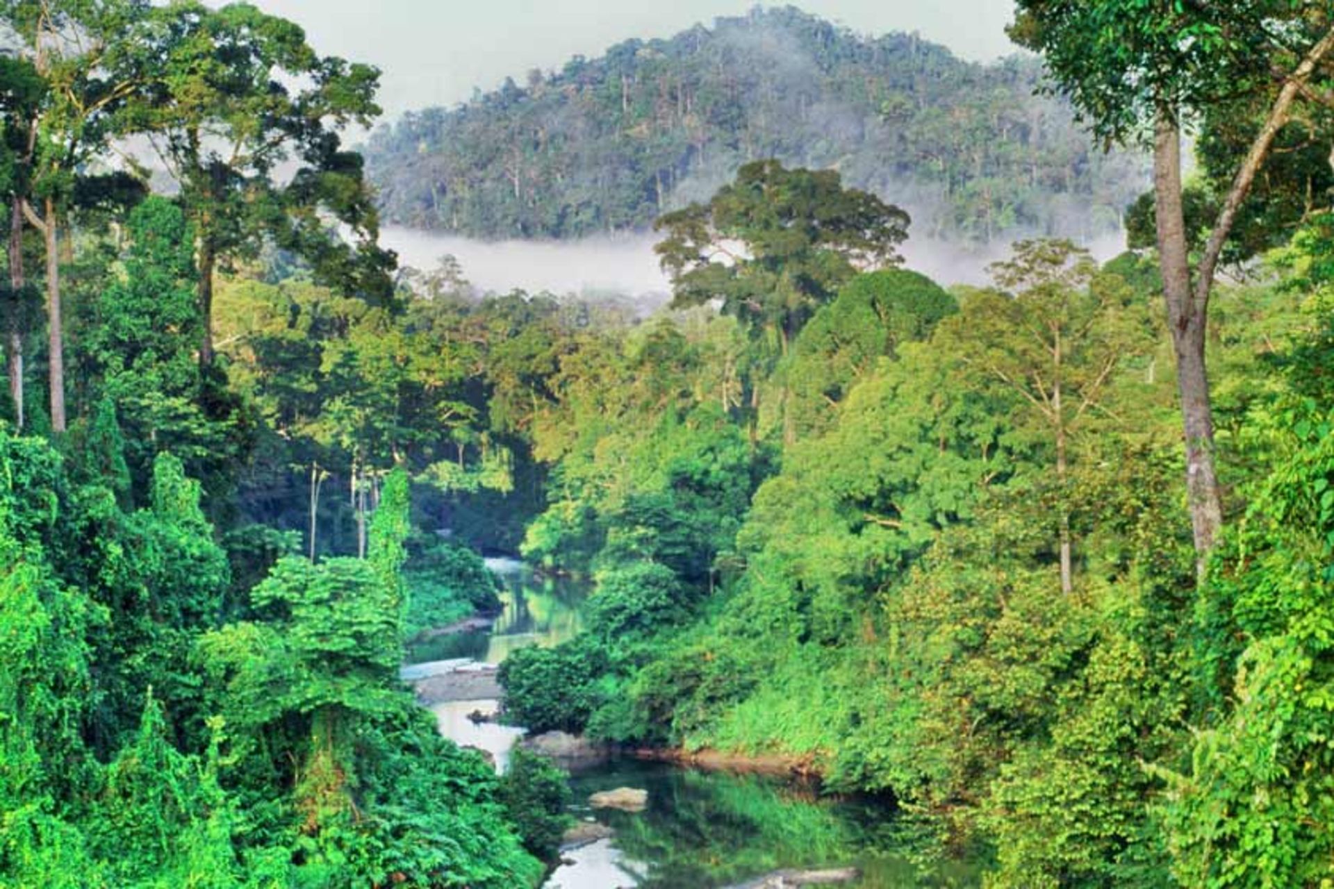 منطقه حفاظت شده دره دانوم