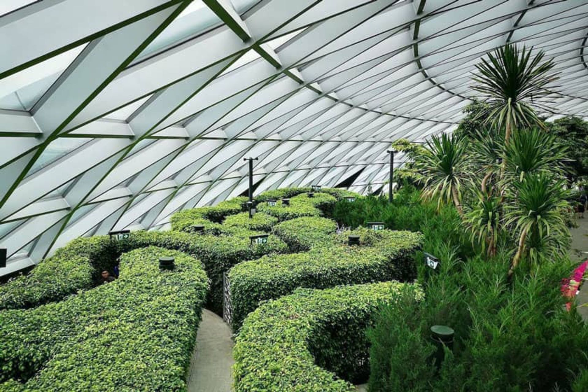 مسیر مارپیچ فرودگاه چانگی