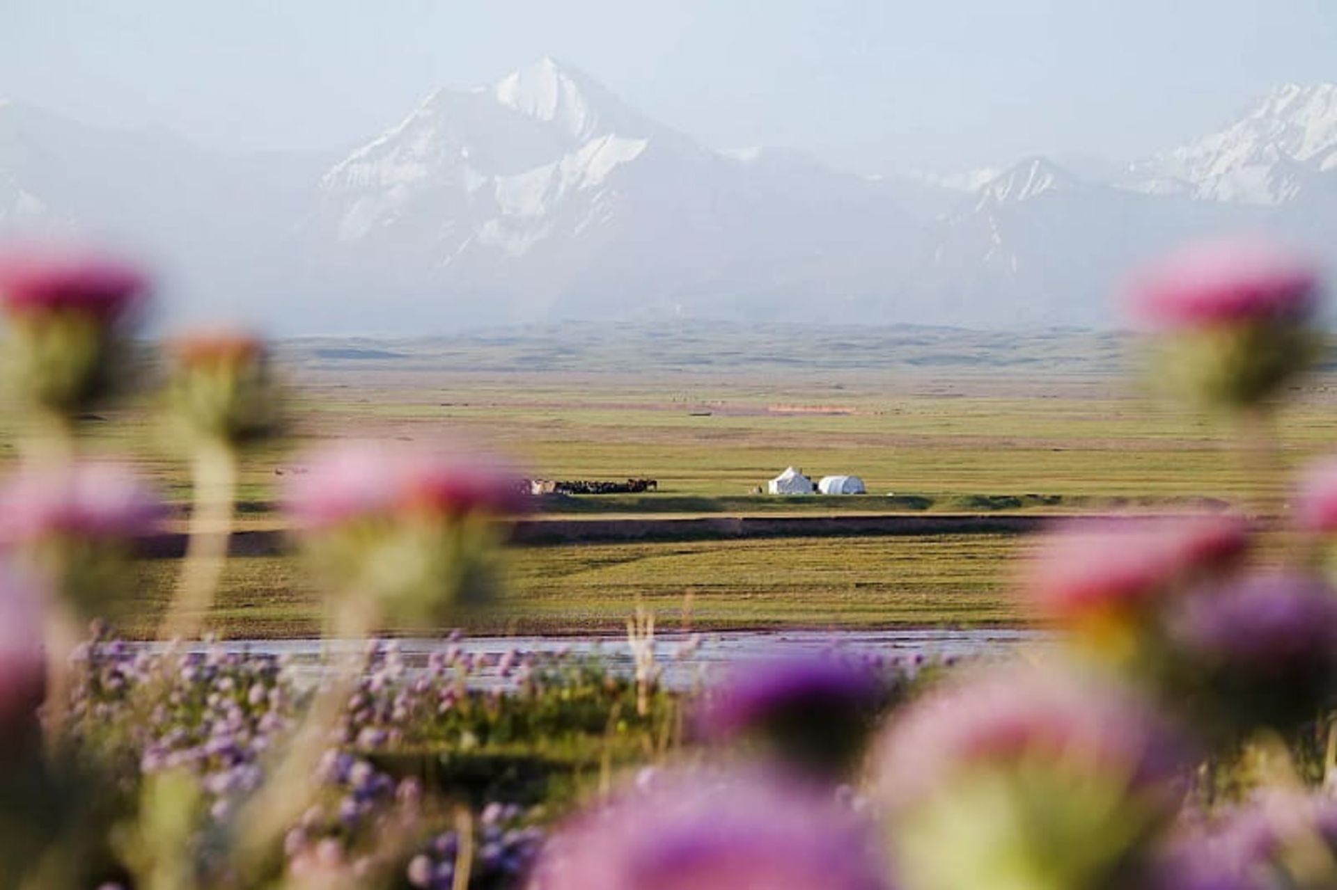 دره چونگ آلای؛ قرقیزستان