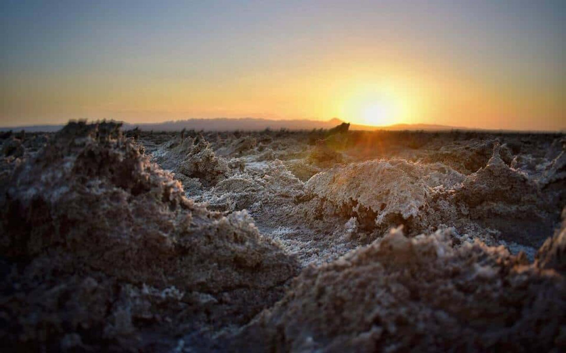 کویر نمک خور