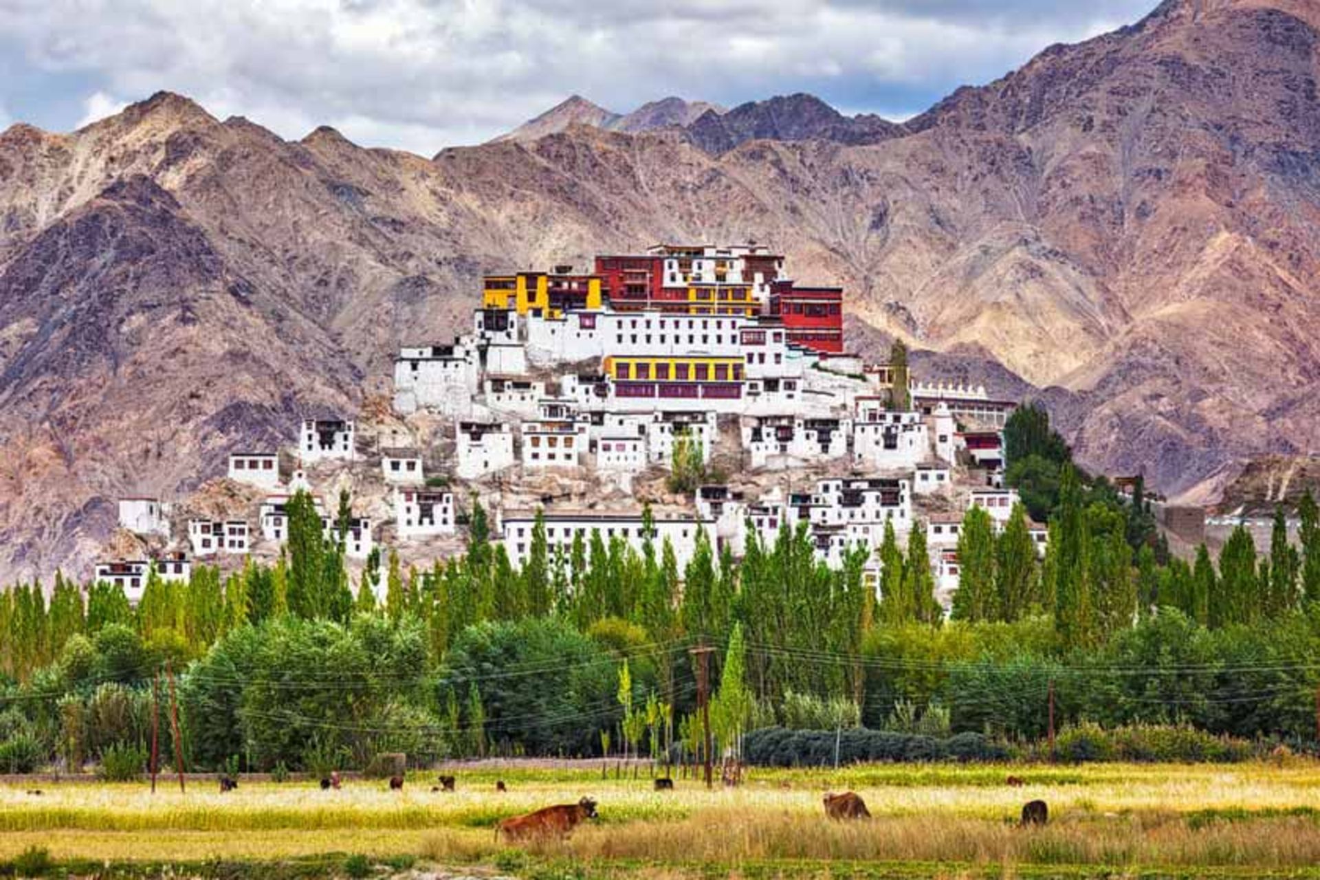 صومعه تیکسی
