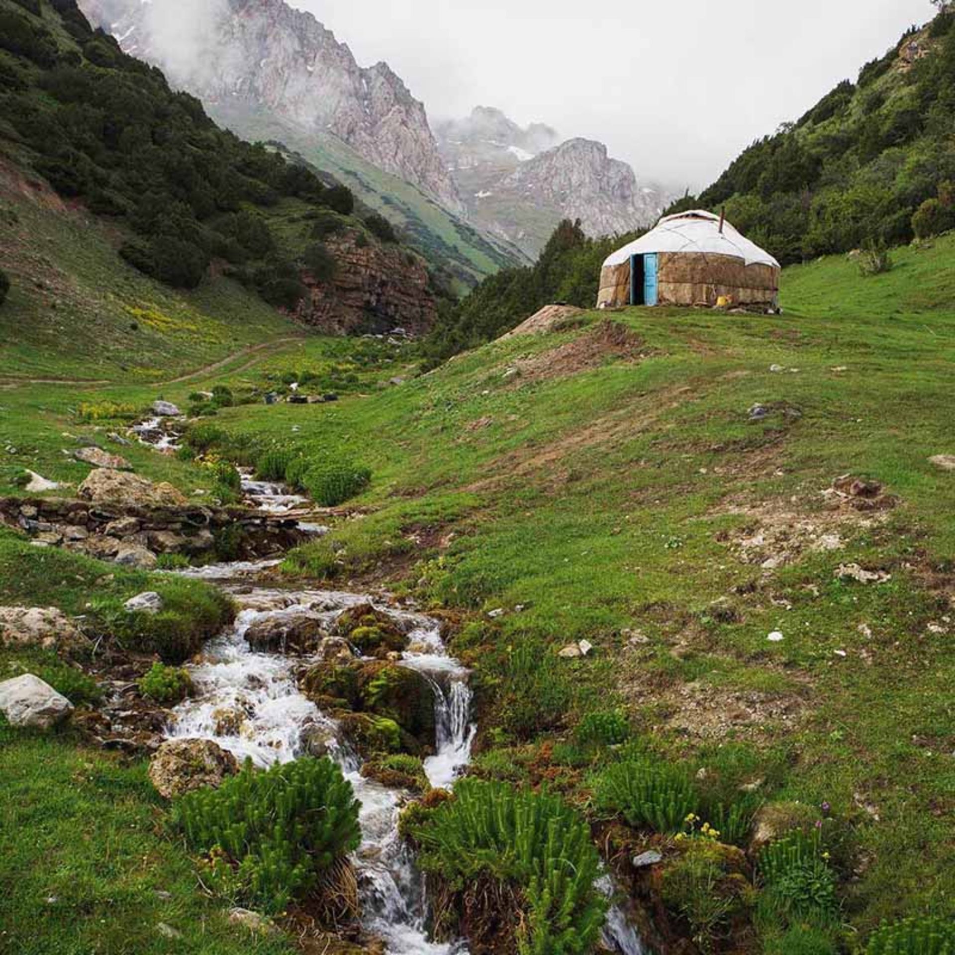 چادر روستایی که به سبک سنتی قرقیزها برپا شده است