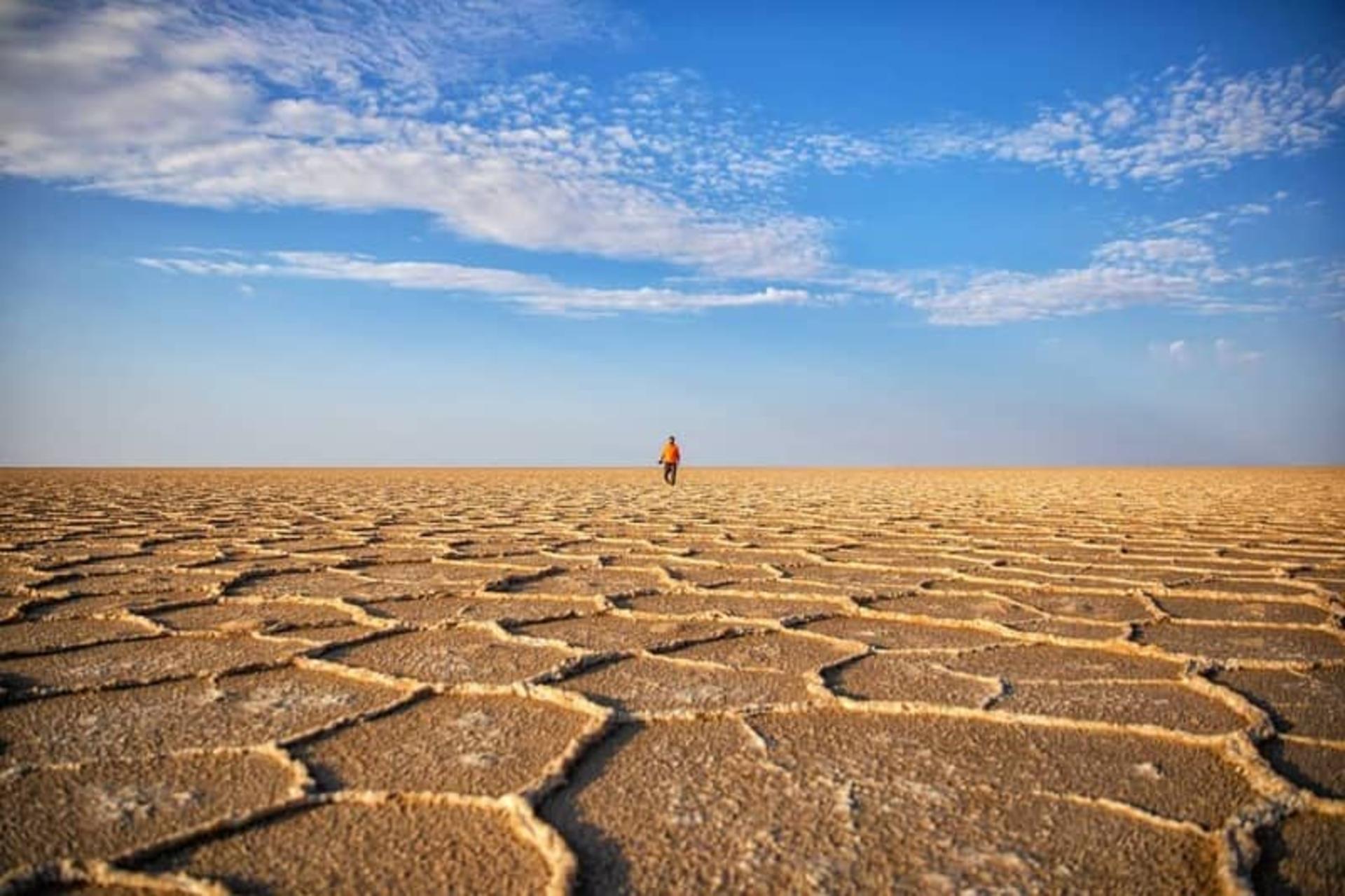 کویر نمک خور