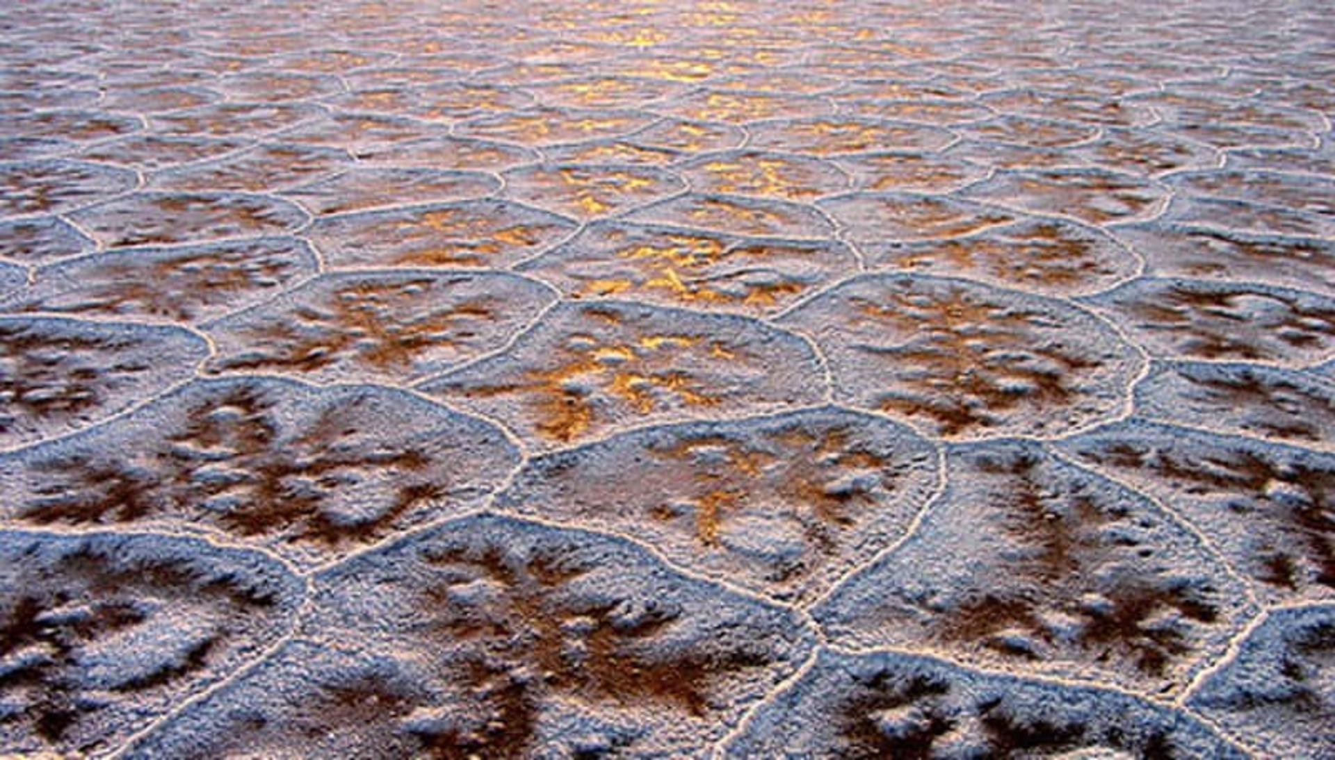 کویر نمک خور