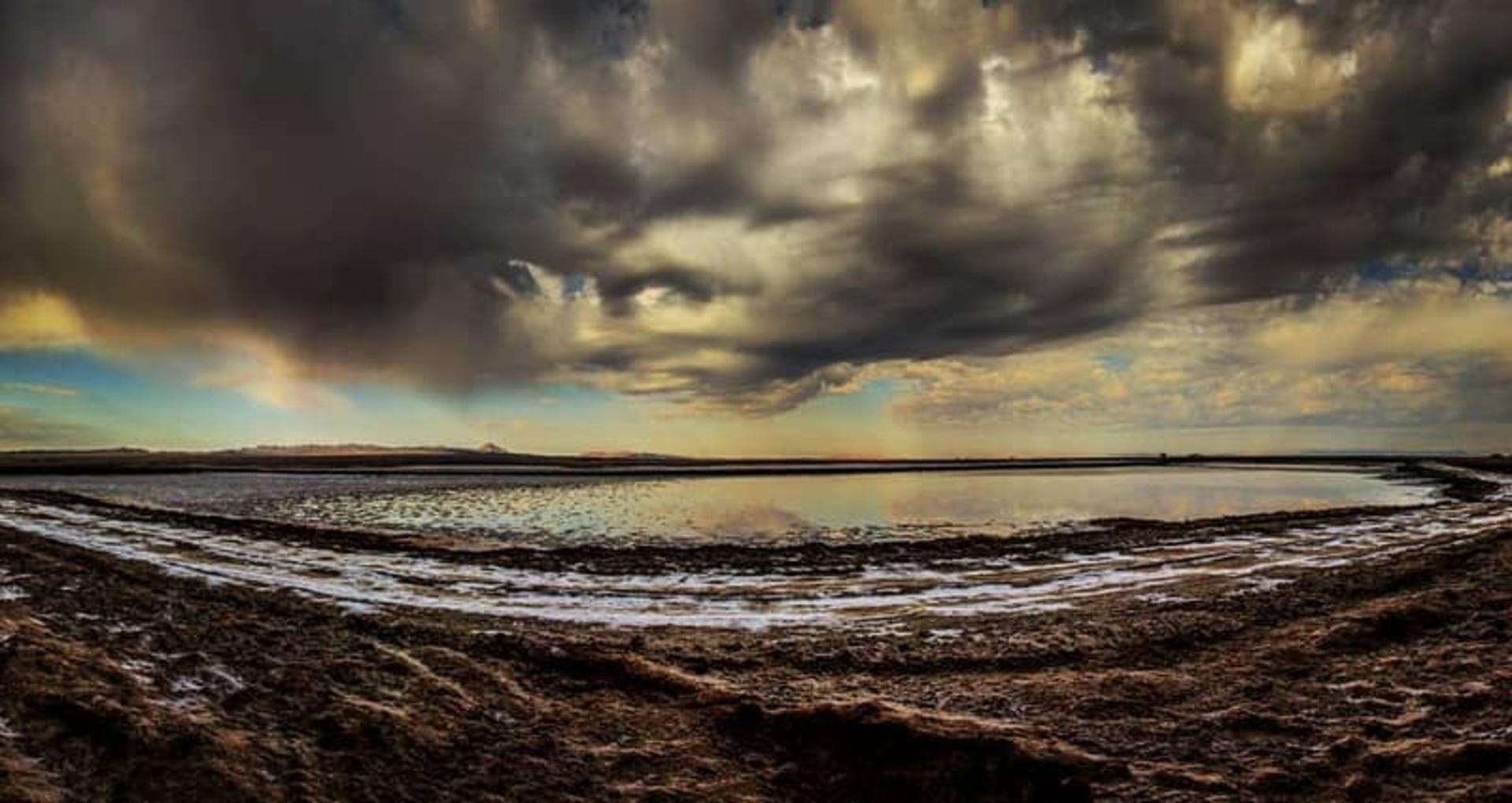 کویر نمک خور