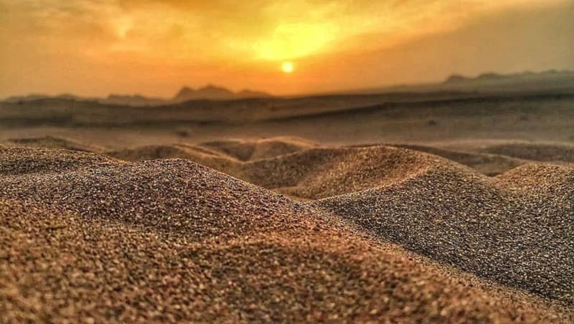 کویر پلوند