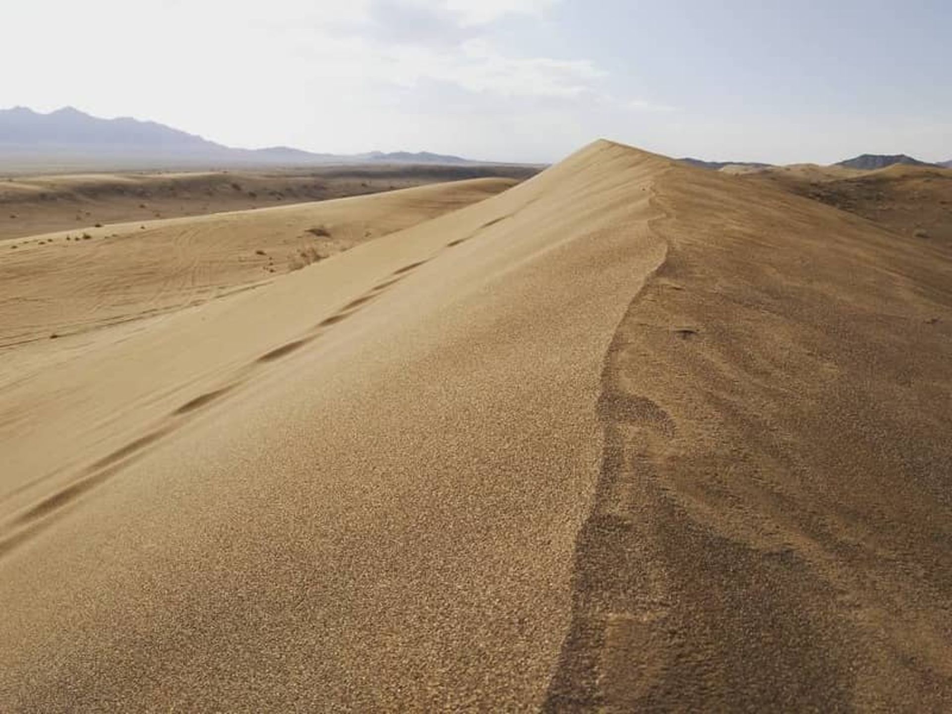 کویر پلوند یا مظفری