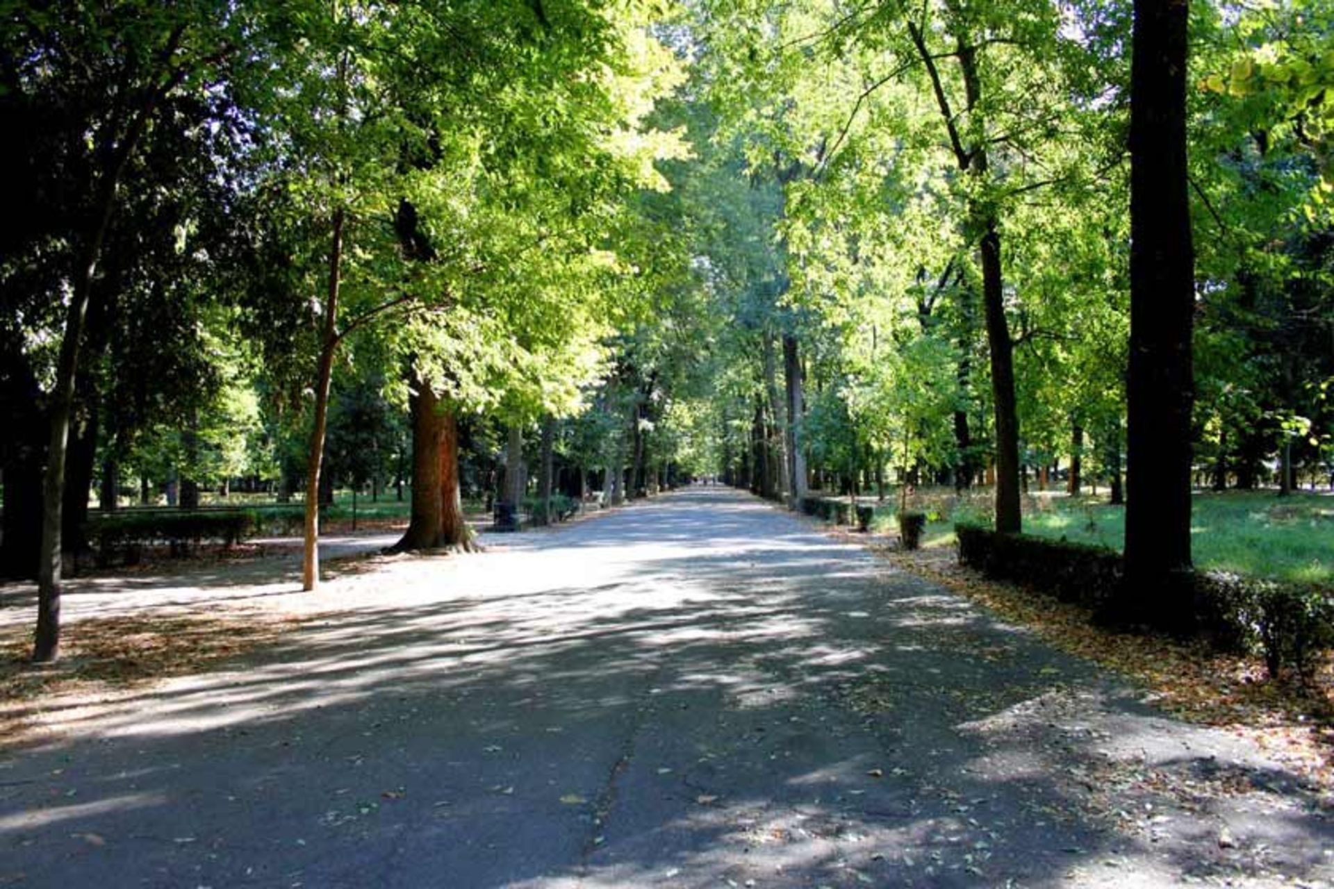 پارک کاشینه