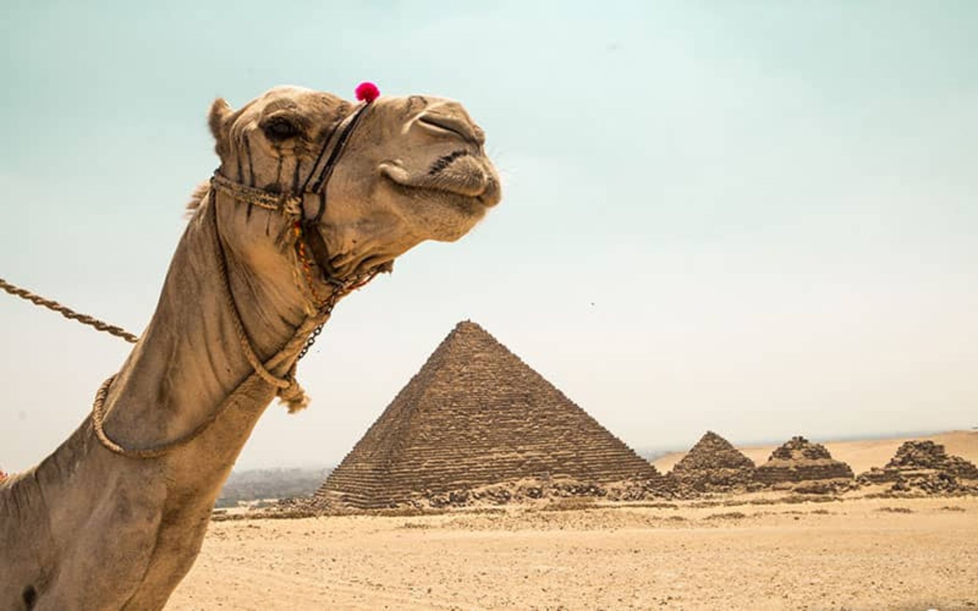 اهرام مصر