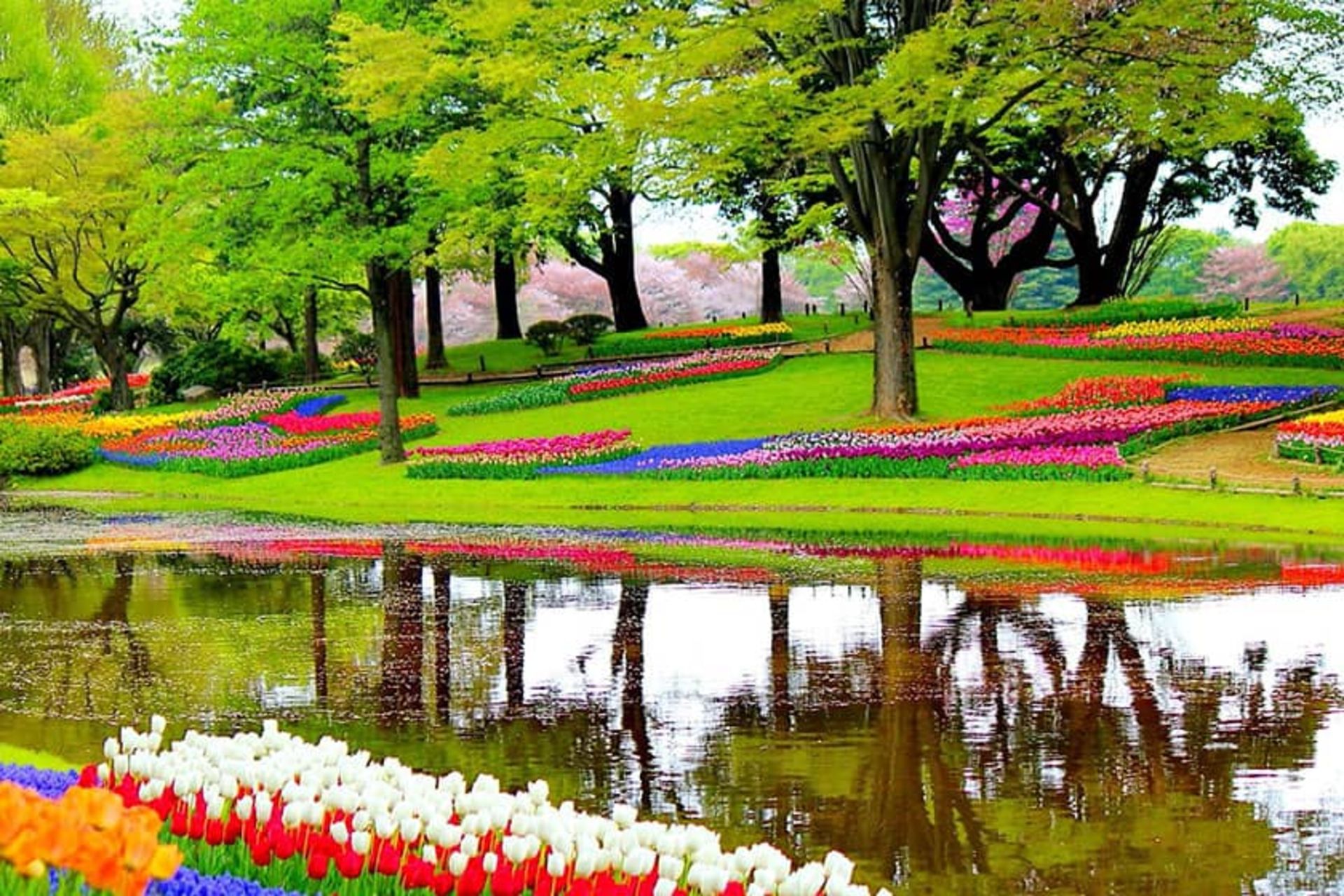 زیباترین باغ های جهان