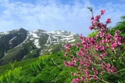کوه چهل چشمه