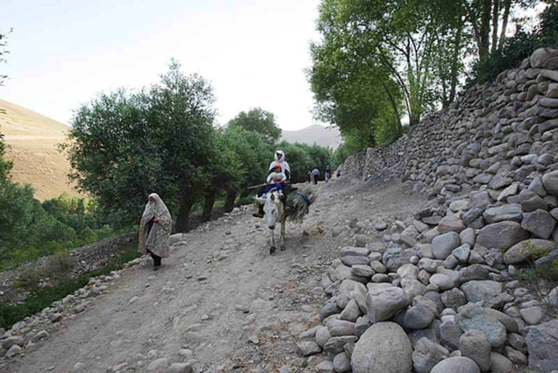 روستای ییلاقی لیقوان