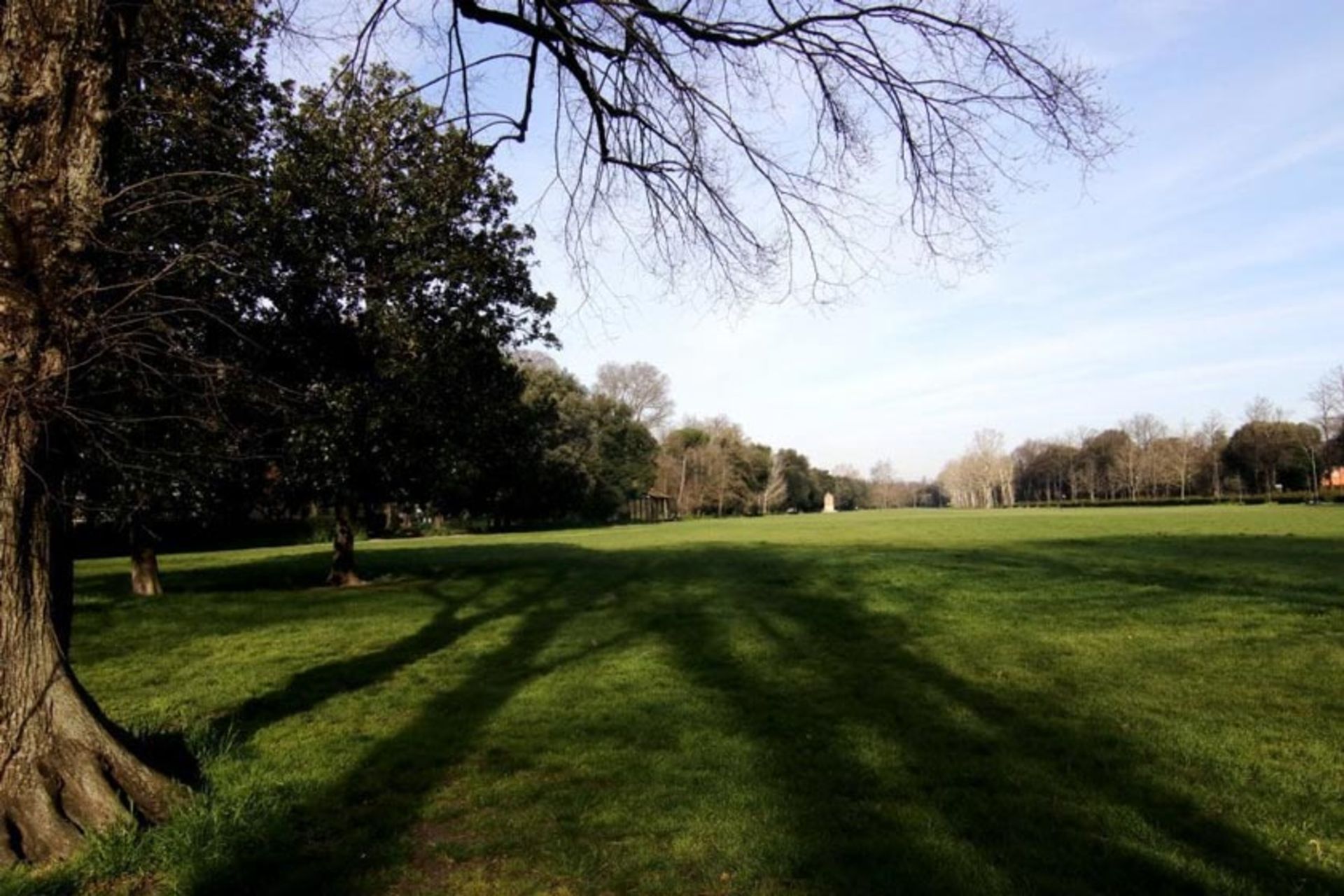 پارک کاشینه
