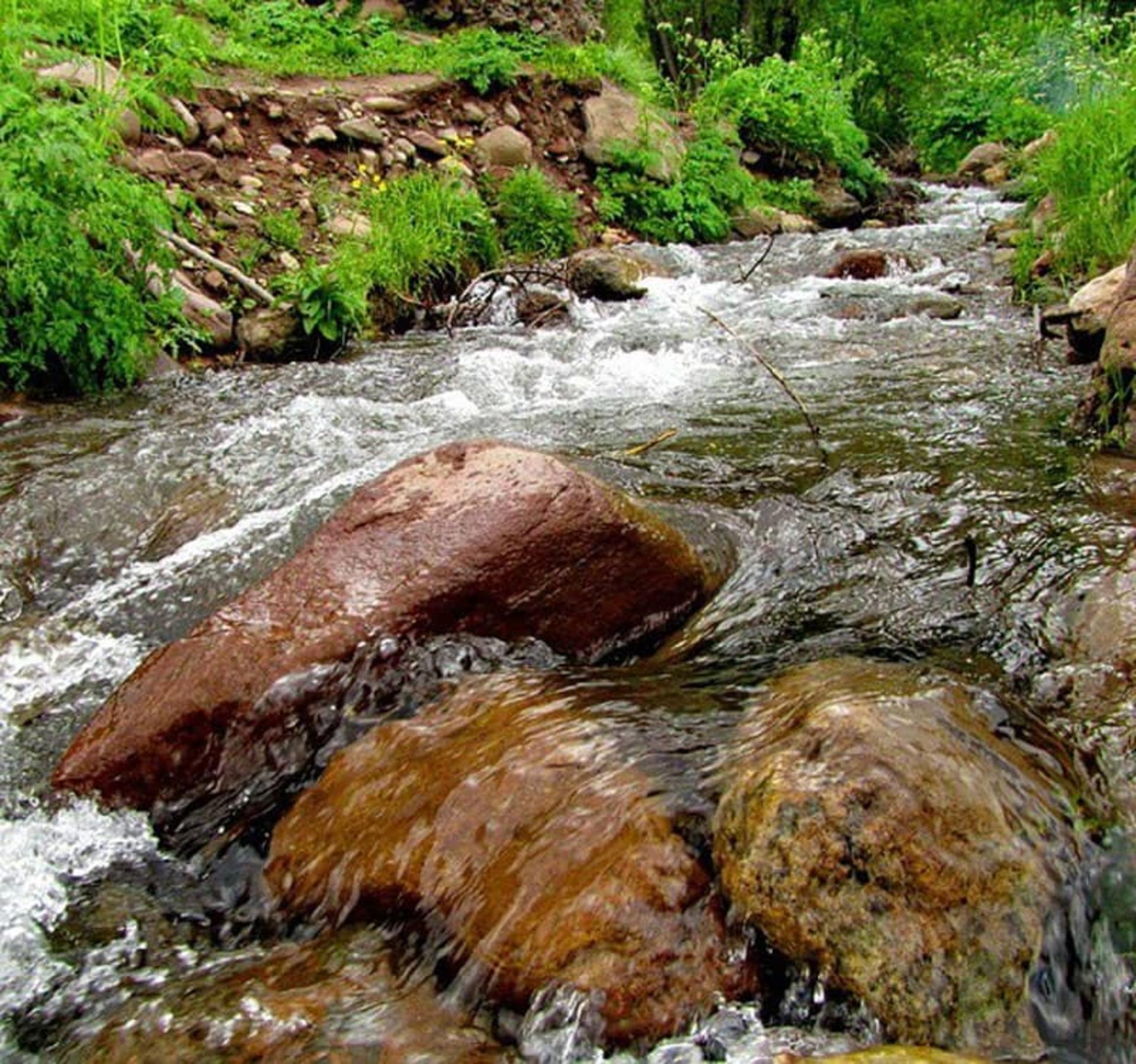 روستای ییلاقی لیقوان
