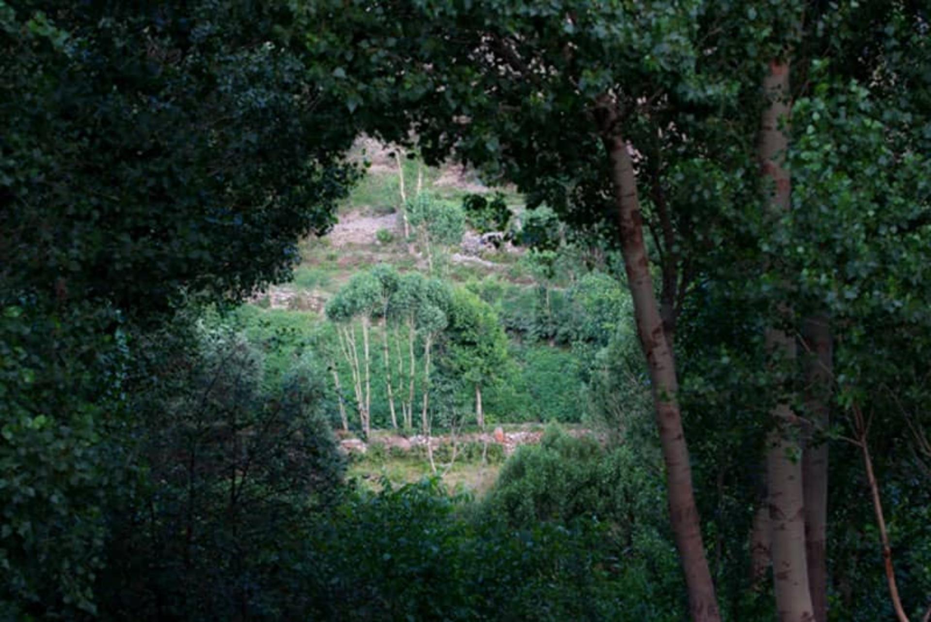 روستای ییلاقی لیقوان