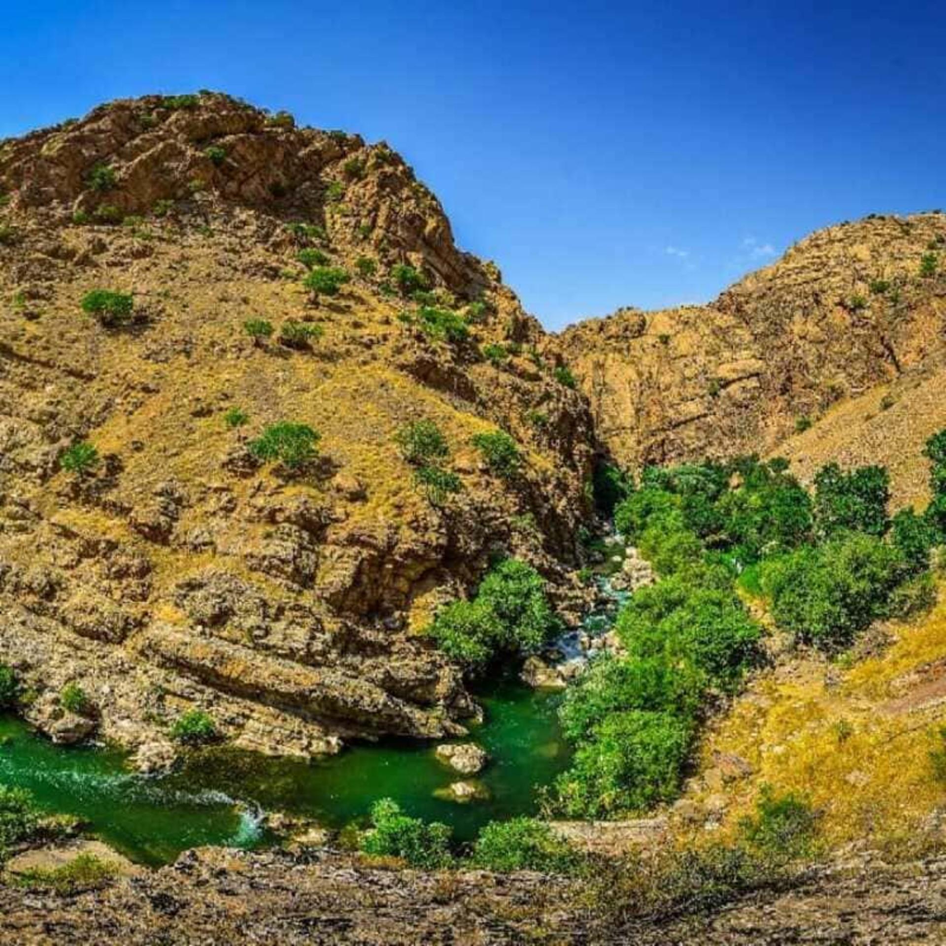 تنگ شگفت‌انگیز لی لی