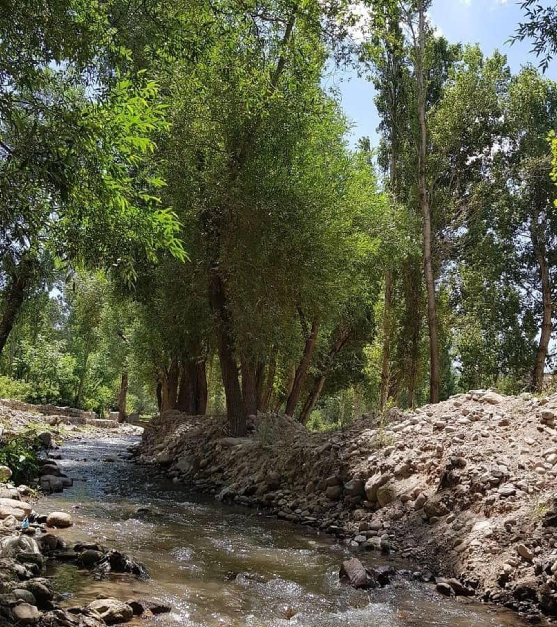 روستای ییلاقی لیقوان