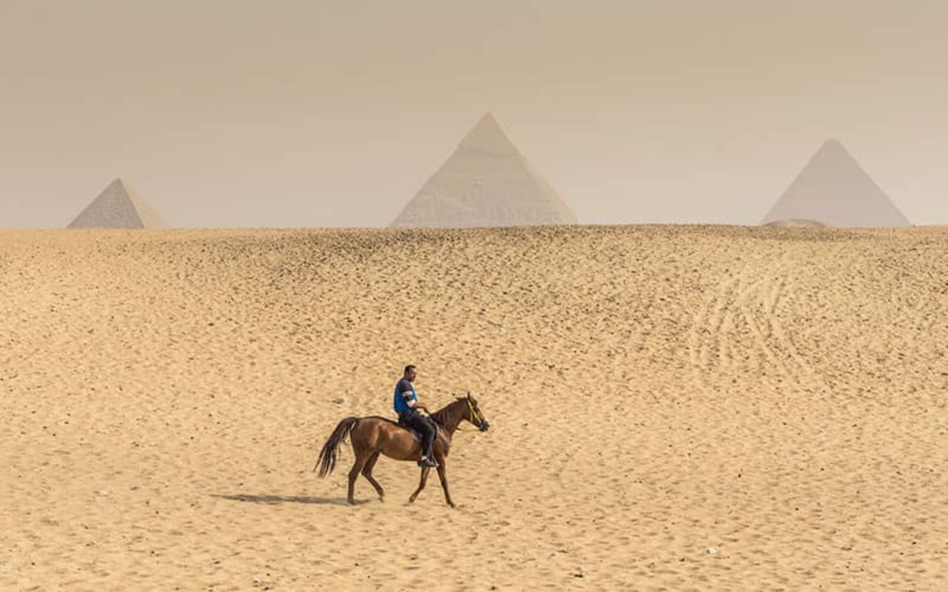 اهرام مصر