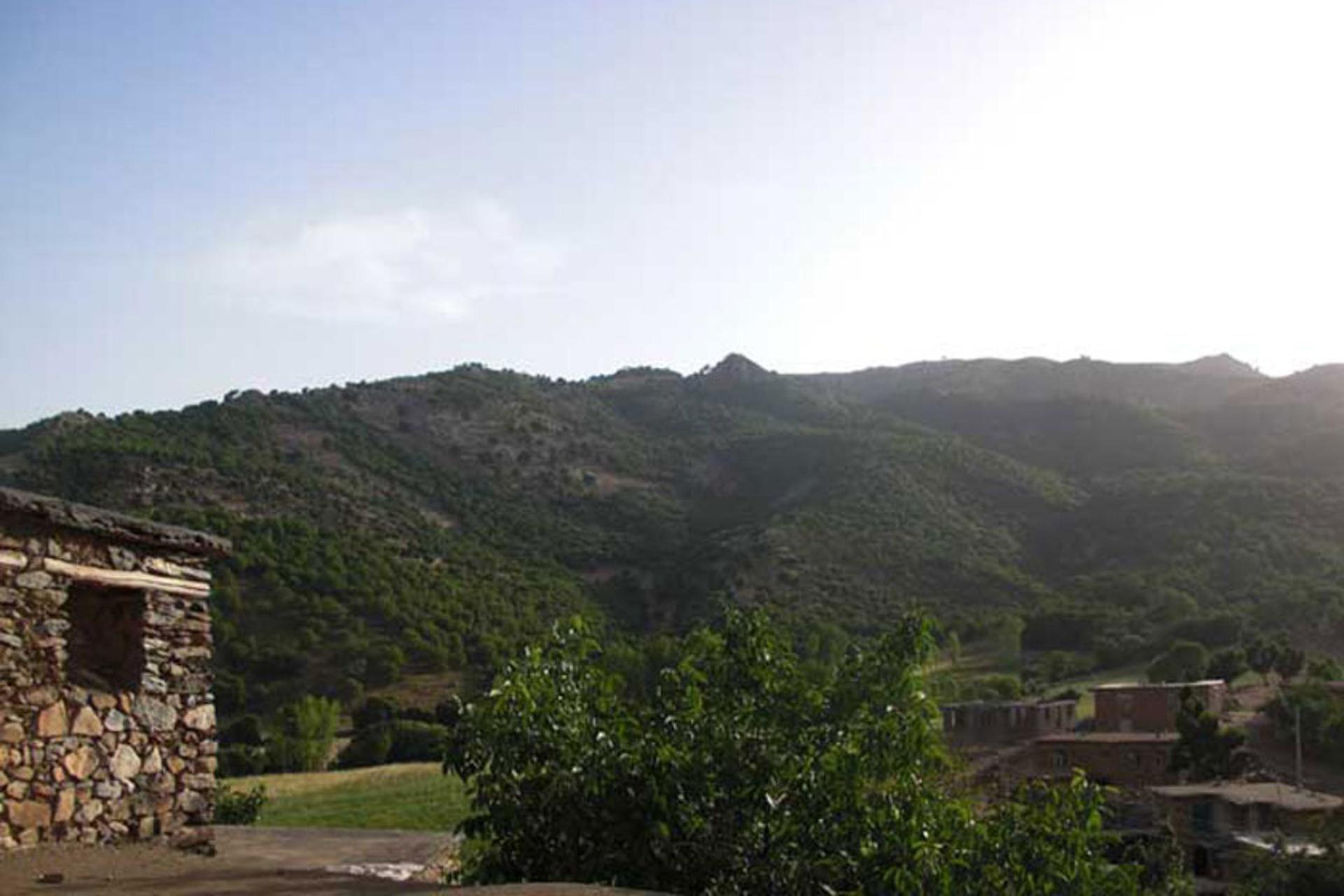 روستای نژو