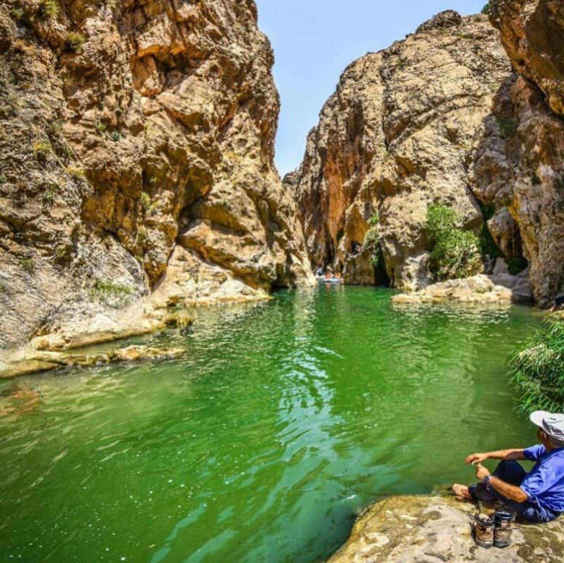 تنگ شگفت‌انگیز لی لی