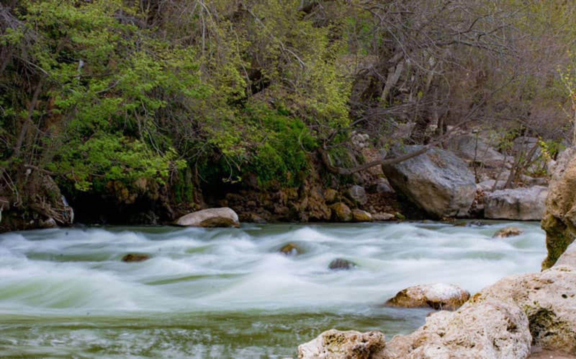 آبشار زیبای بیشه 