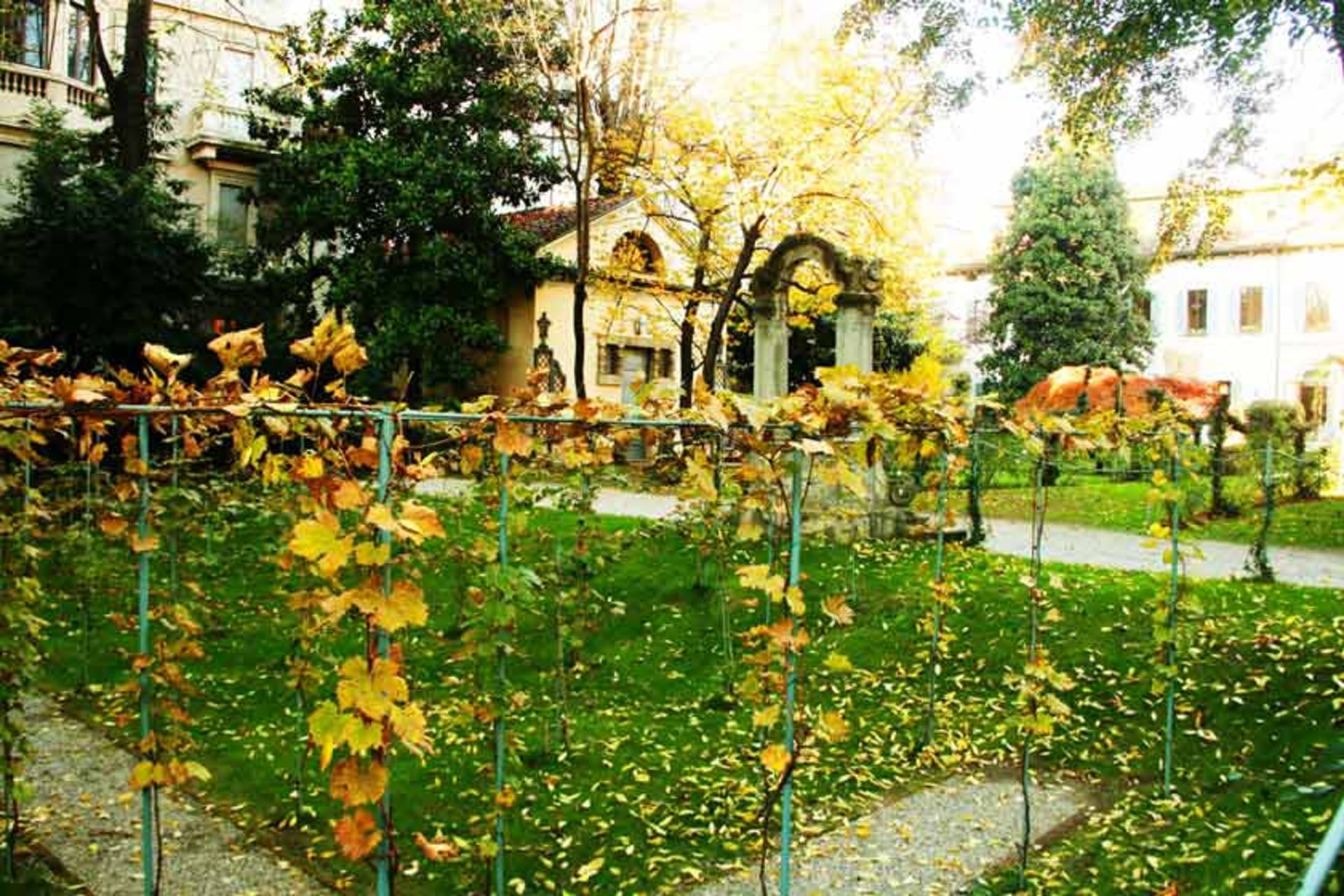 تاکستان لئوناردو داوینچی