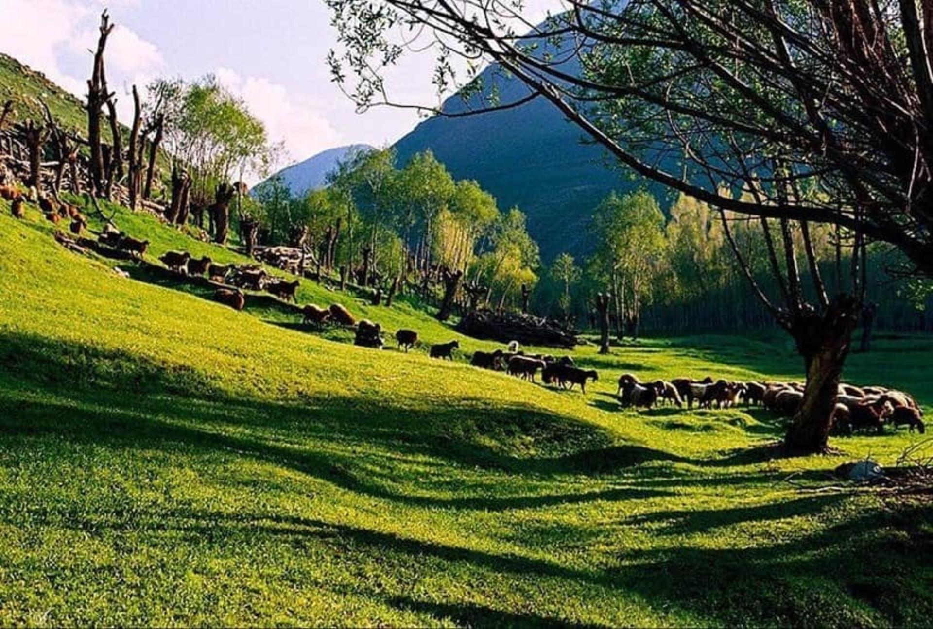 روستای ییلاقی لیقوان