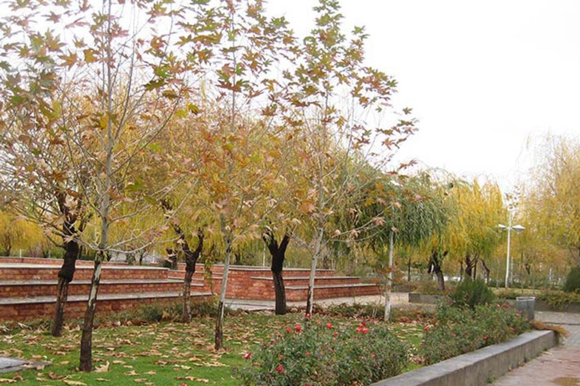 پارک کوثر