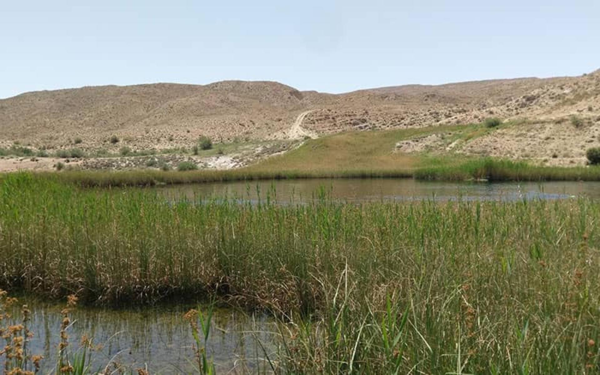 دریاچه آهنک