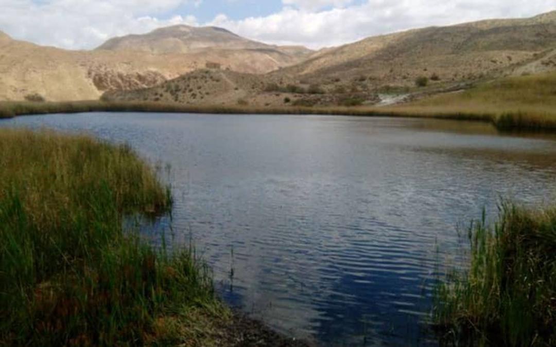 دریاچه آهنک