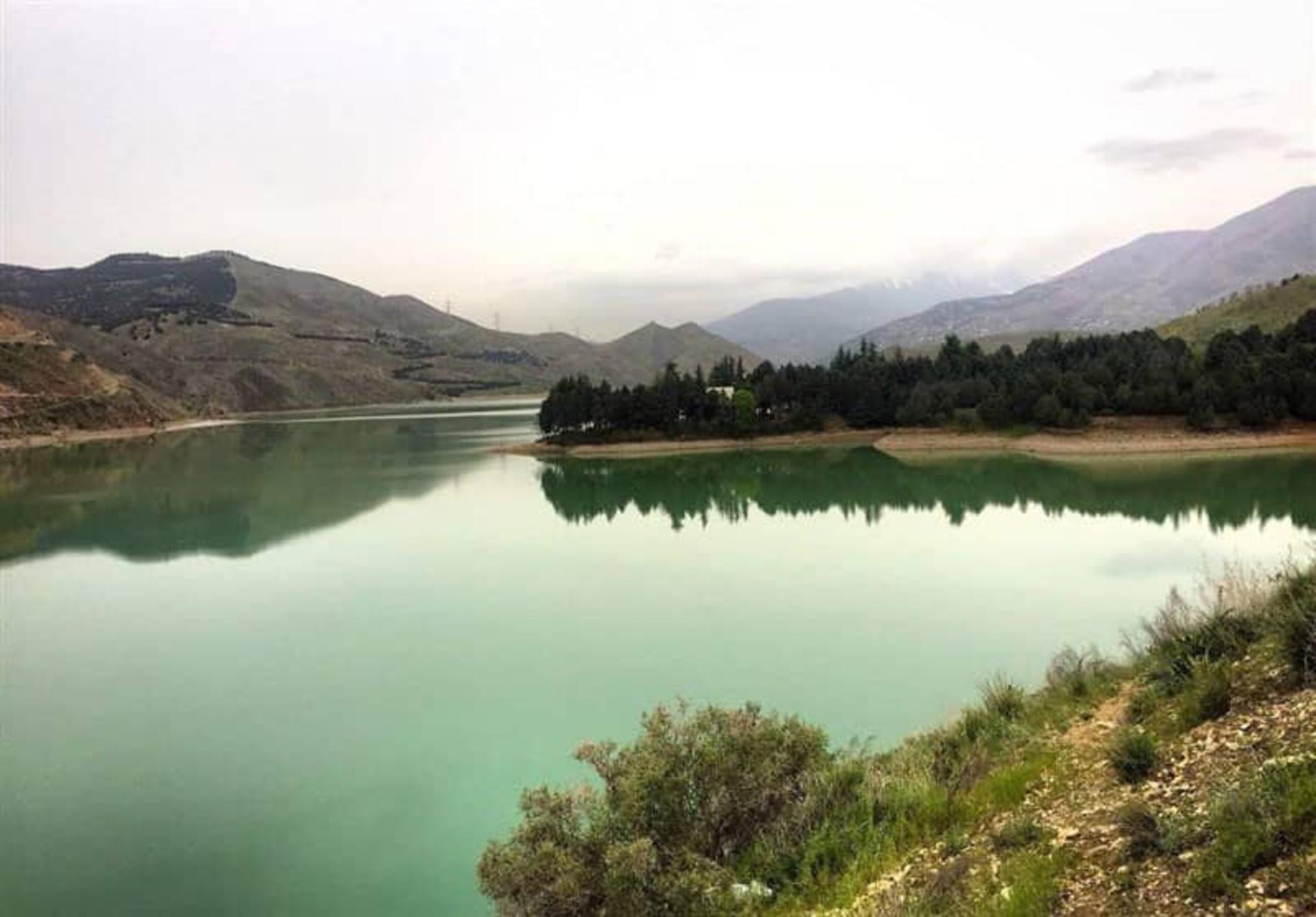 پوشش گیاهی دریاچه سد لتیان