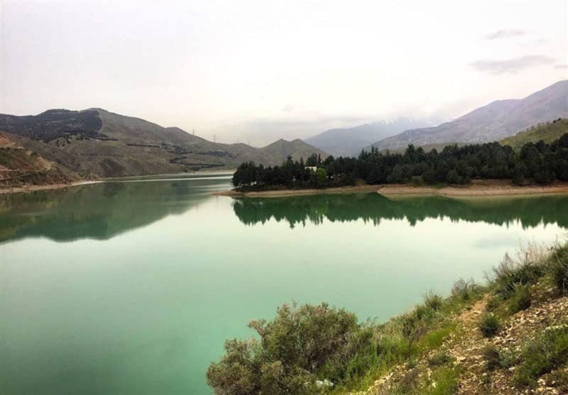 پوشش گیاهی دریاچه سد لتیان