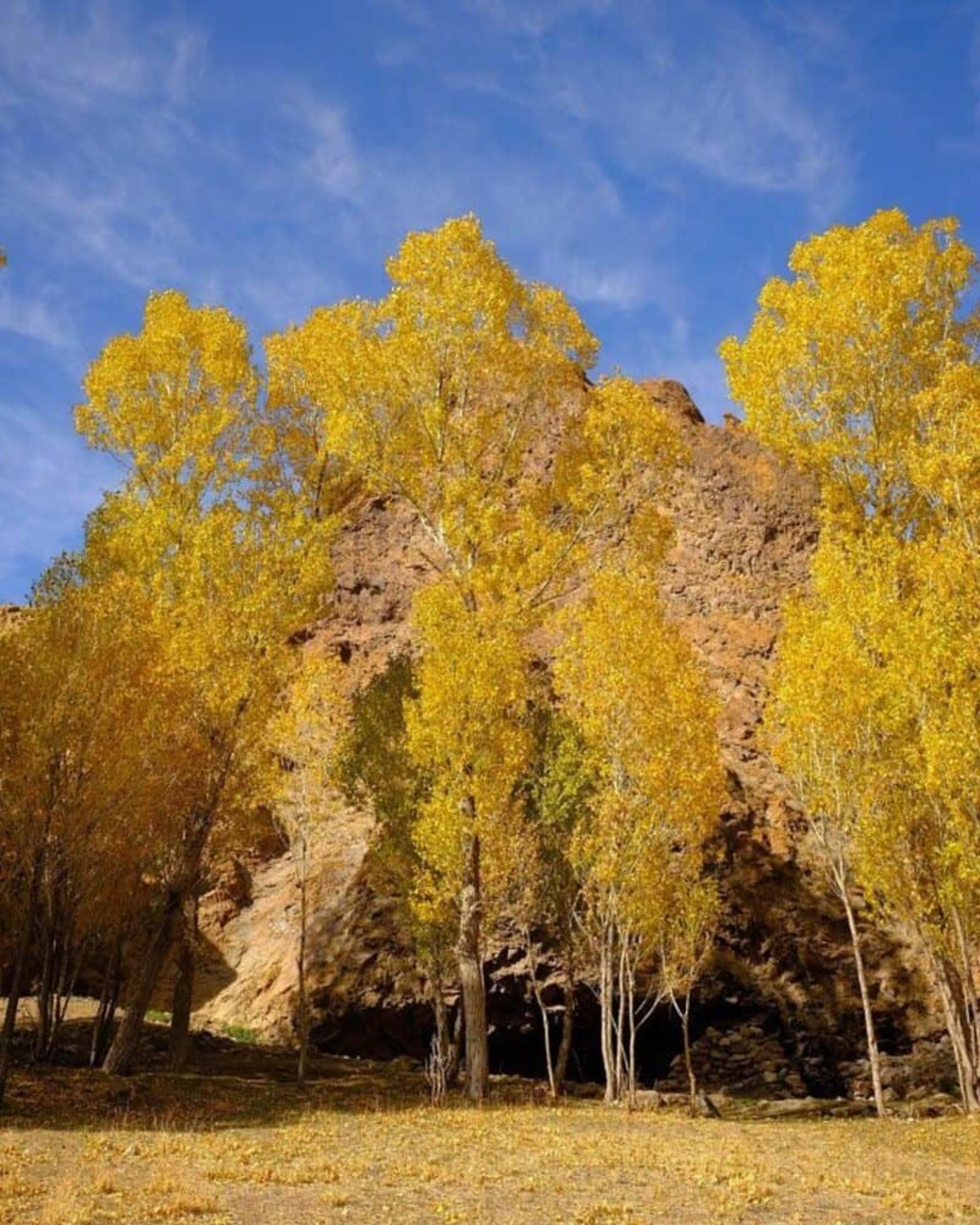 روستای ییلاقی لیقوان