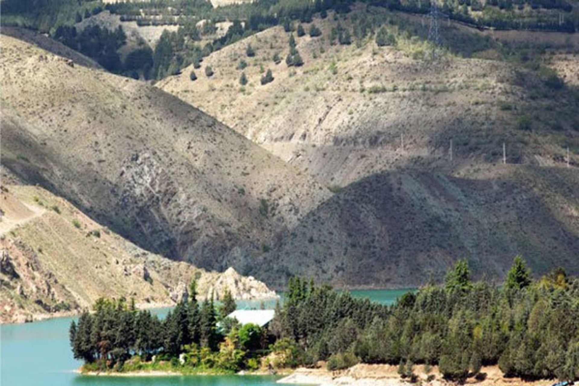 پارک جنگلی لتیان