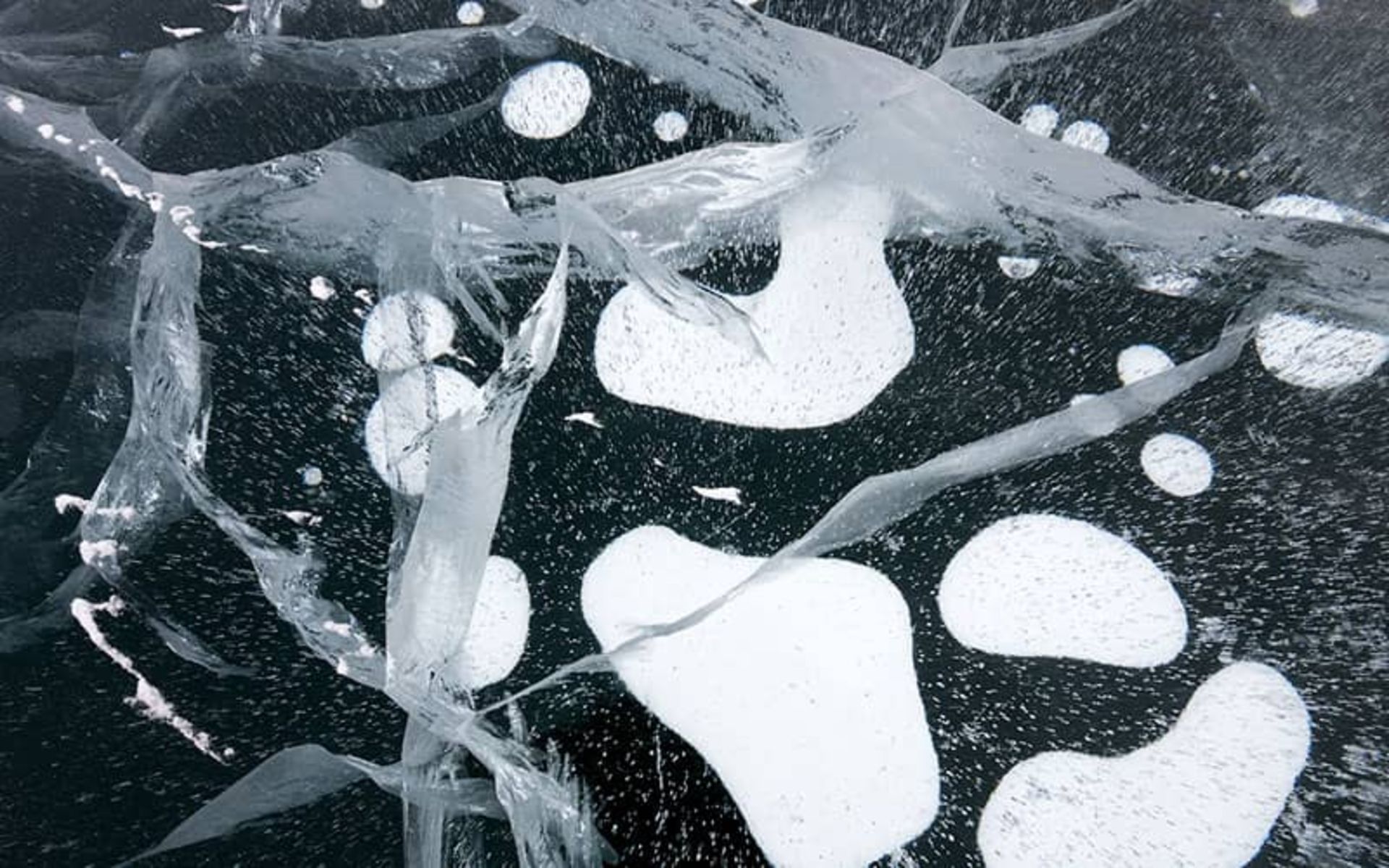 دریاچه بایکال