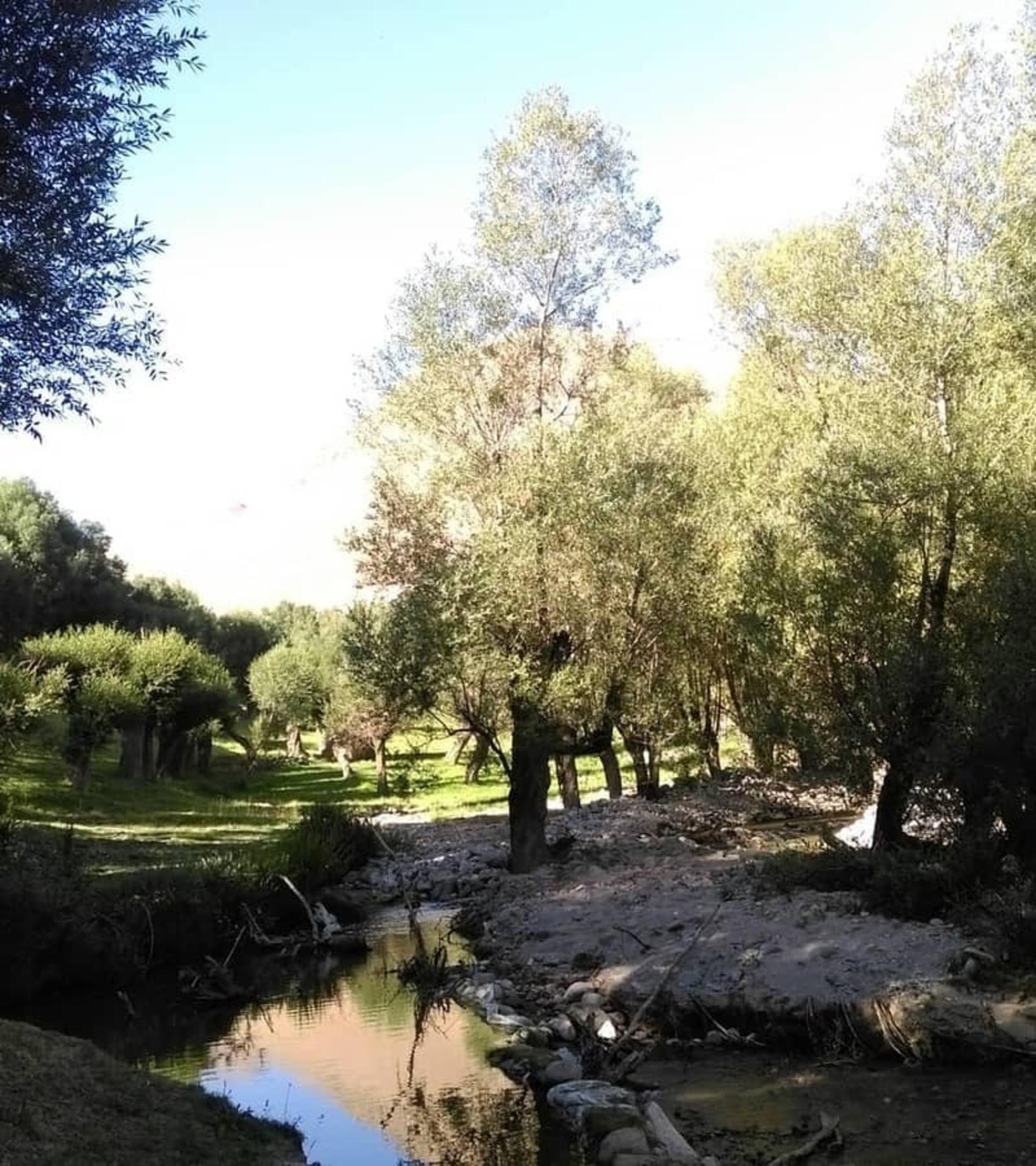 روستای ییلاقی لیقوان