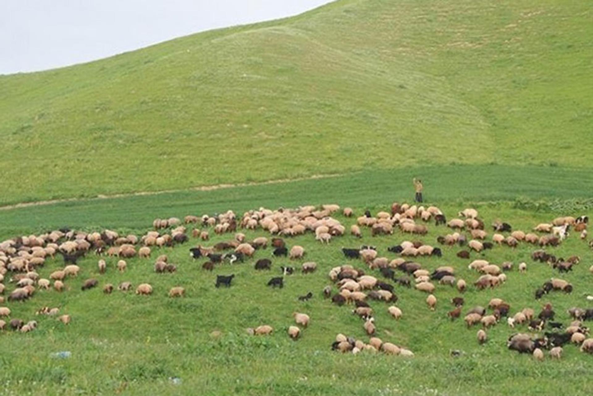 روستای گچی سو بالا