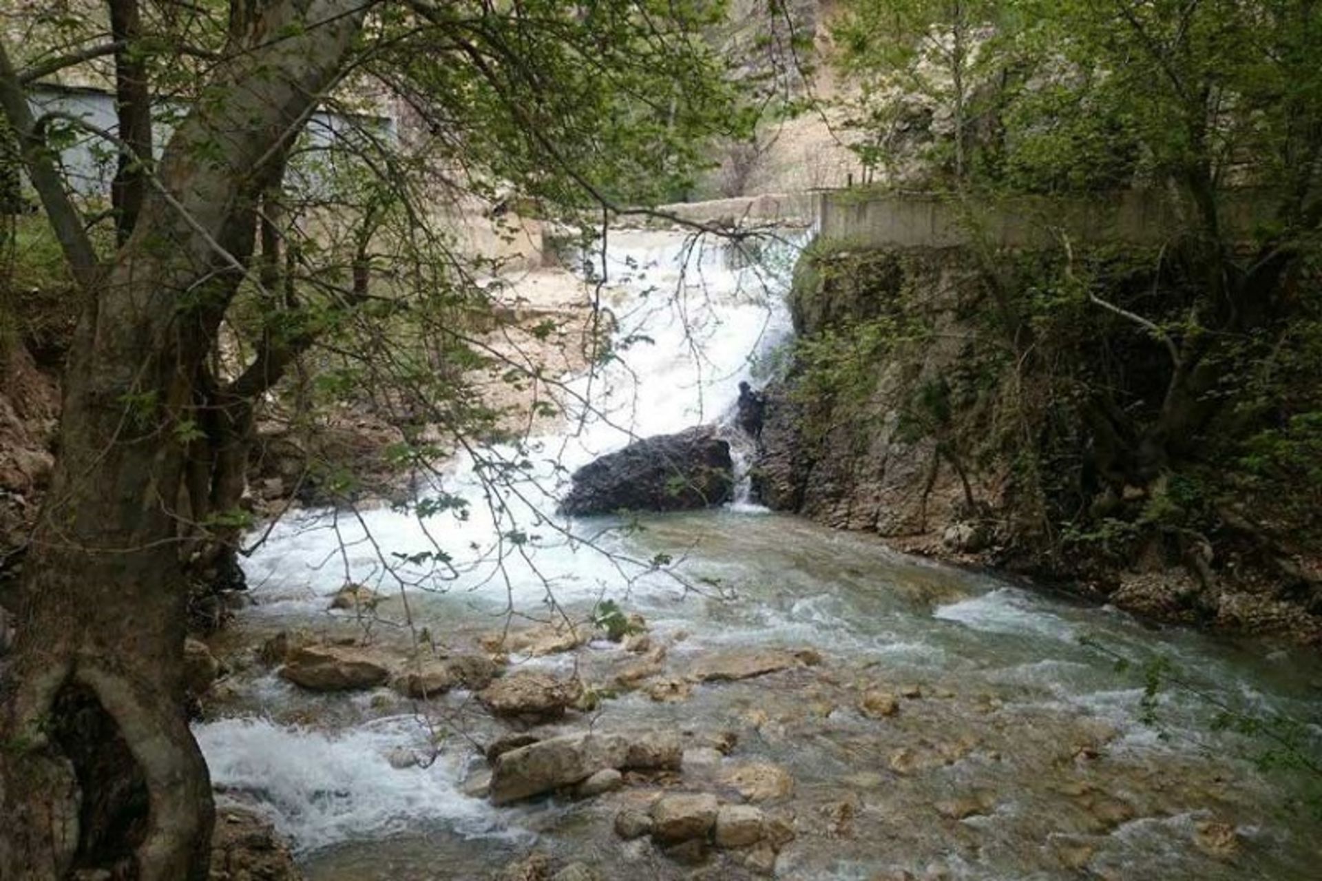 رودخانه پارک جنگلی پروز